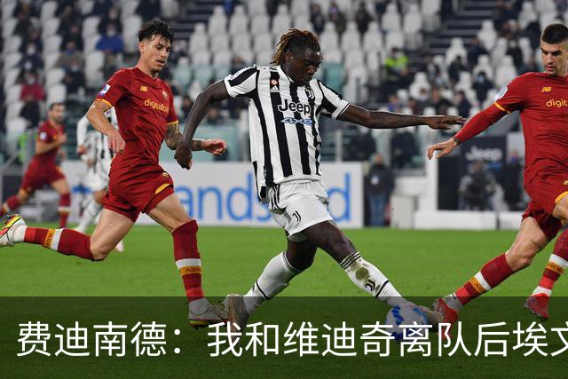 费迪南德：我和维迪奇离队后埃文斯能力最强